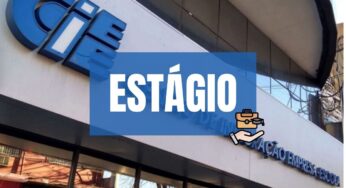 Oeste Paulista tem vagas de estágio com bolsa-auxílio de até R$ 1,4 mil, chances para áreas de administração, direito, aprendizes, entre outras.