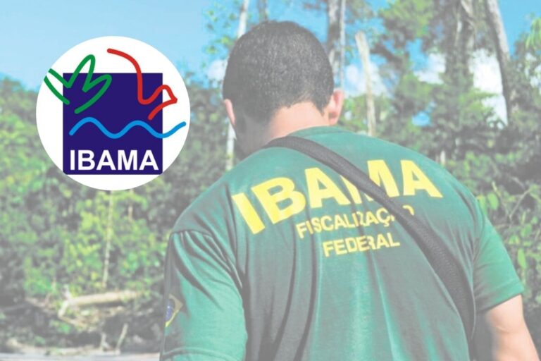 concurso público do Ibama